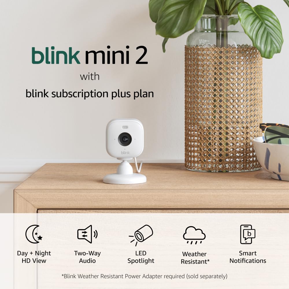 Blink Mini 2 — Home Security & Pet Camera with HD video, color night view, motion detection, two-way audio, and built-in spotlight — 1 camera (White)