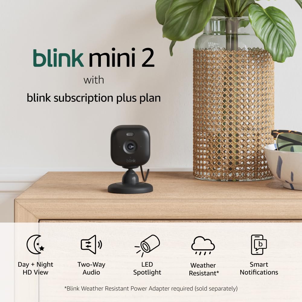 Blink Mini 2 — Home Security & Pet Camera with HD video, color night view, motion detection, two-way audio, and built-in spotlight — 1 camera (White)